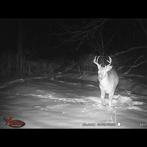 Meet your Posher, Benjamin